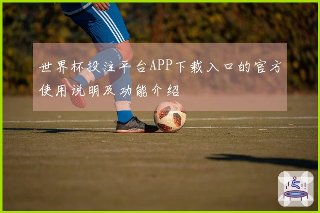 世界杯投注平台APP下载入口的官方使用说明及功能介绍