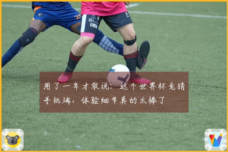 用了一年才敢说：这个世界杯竞猜手机端，体验细节真的太棒了
