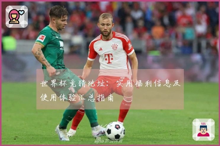 世界杯竞猜地址：实用福利信息及使用体验汇总指南