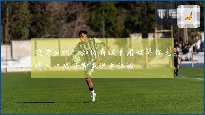 趋势分析：如何有效利用世界杯竞猜入口提升赛事观看体验