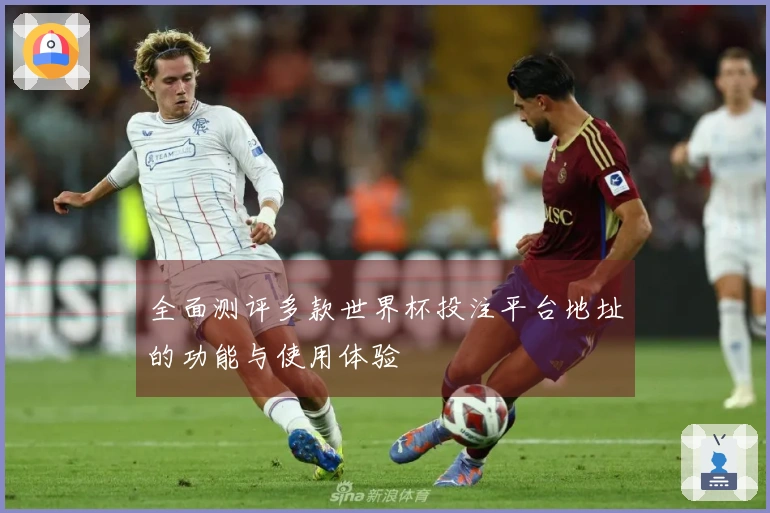 全面测评多款世界杯投注平台地址的功能与使用体验